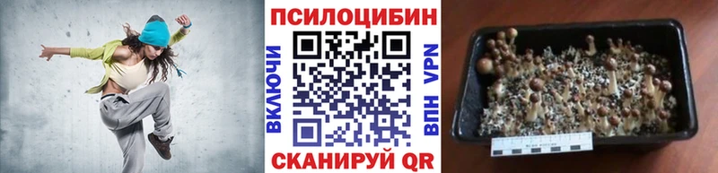 Купить где  Липки  Галлюциногенные грибы мухоморы 